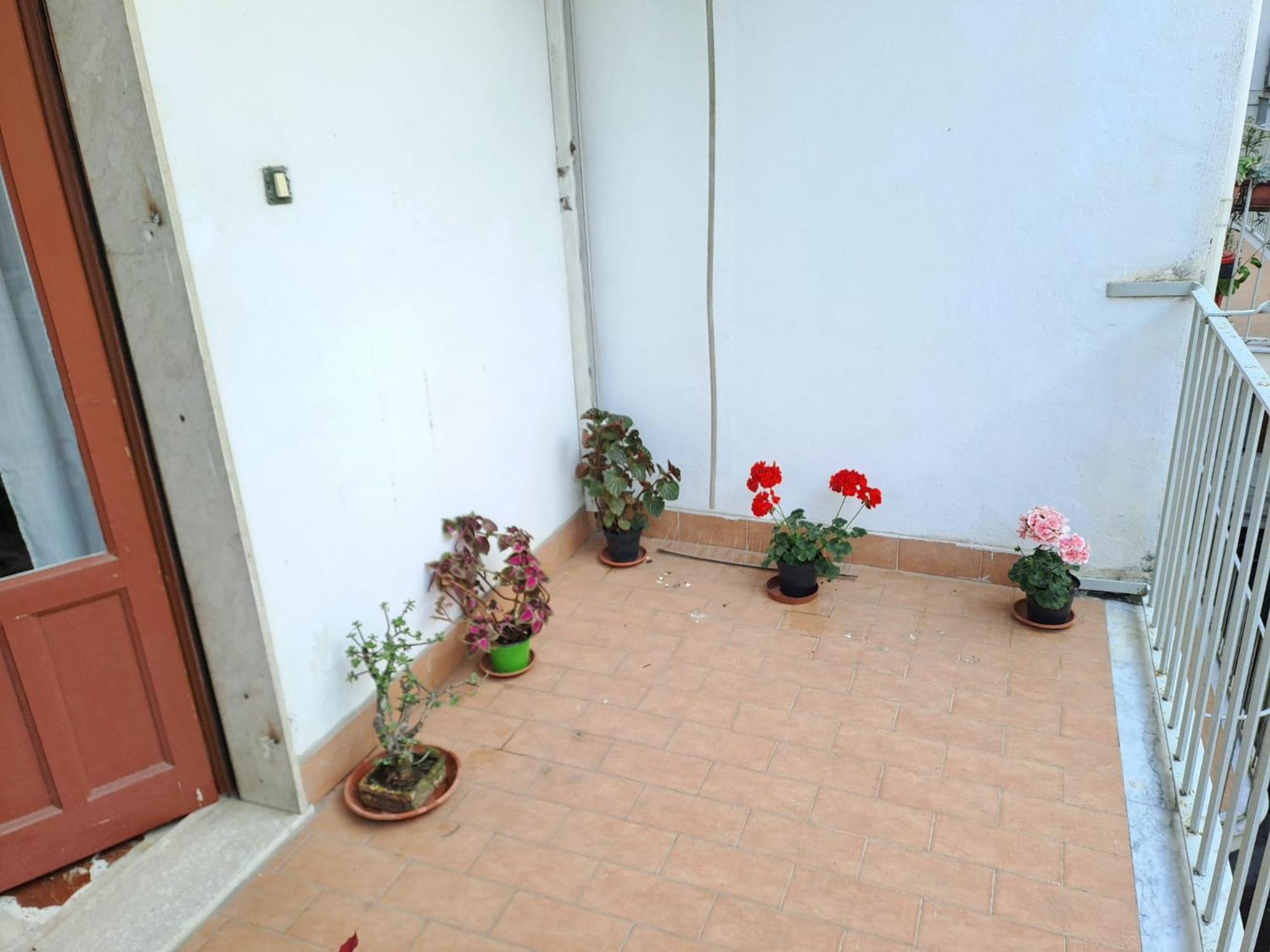 B&B Domus Pina كاتانيا المظهر الخارجي الصورة