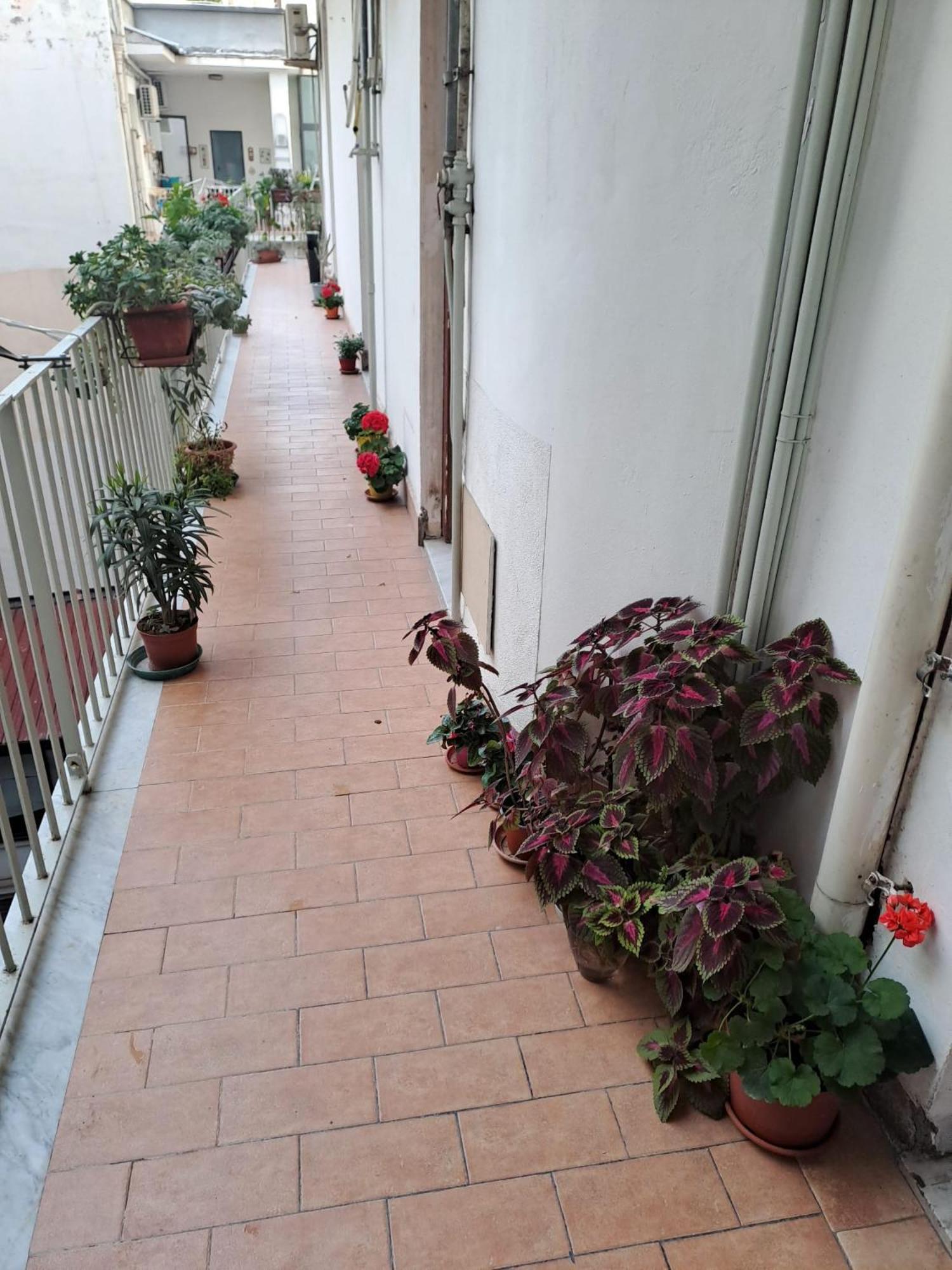 B&B Domus Pina كاتانيا المظهر الخارجي الصورة
