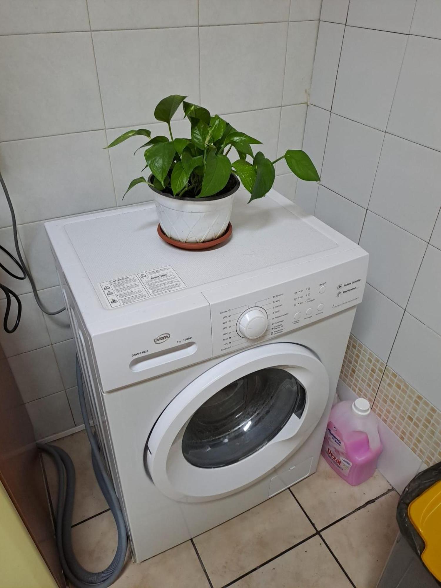 B&B Domus Pina كاتانيا المظهر الخارجي الصورة