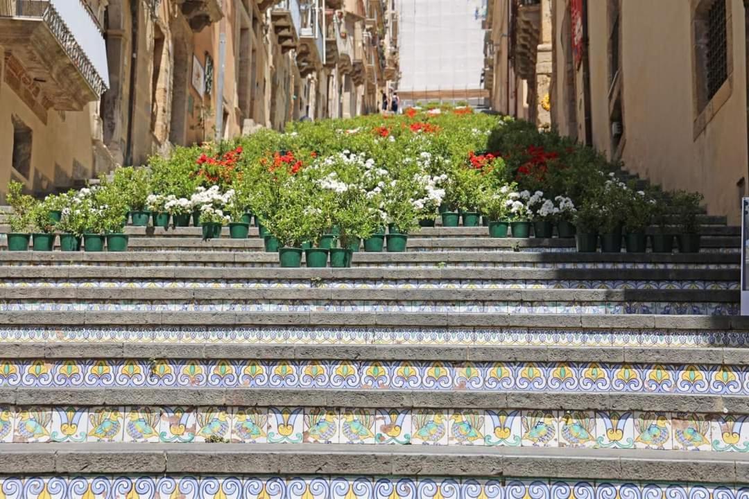 B&B Domus Pina كاتانيا المظهر الخارجي الصورة