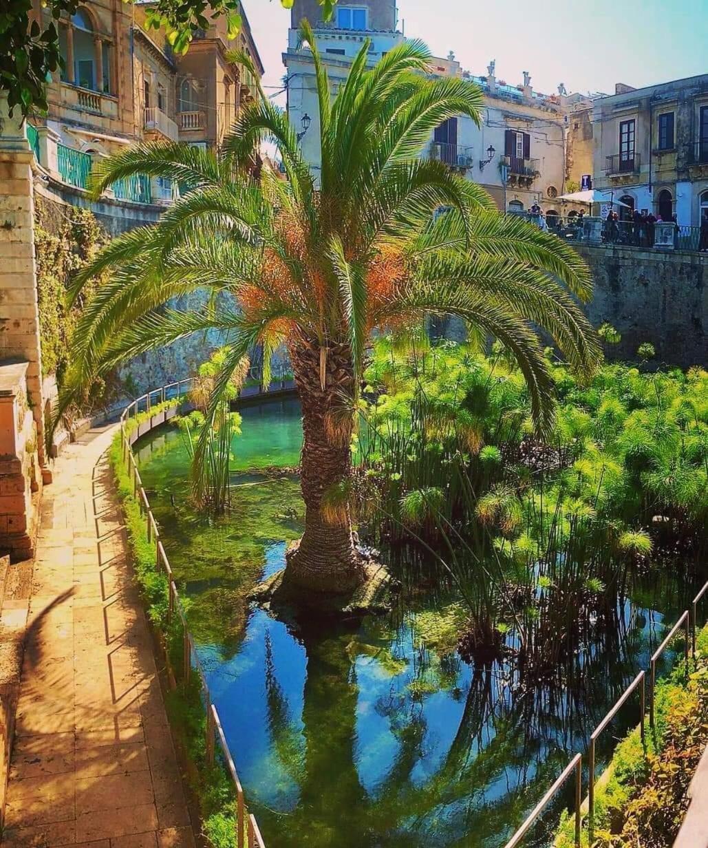 B&B Domus Pina كاتانيا المظهر الخارجي الصورة